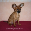 Felisha 3,5m�s�ce