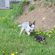 hraju si s n� rad�i ne� ona se mnou:-)